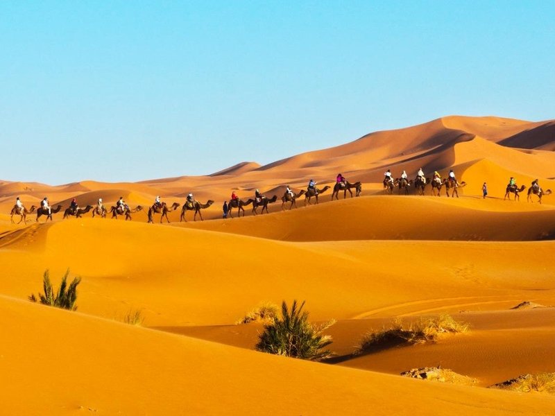 Group of tourists riding a camels in the dunes