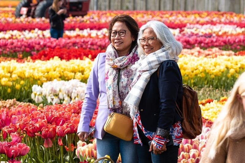 Evite las colas, Jardines de Keukenhof y granja de tulipanes desde Ámsterdam 2025