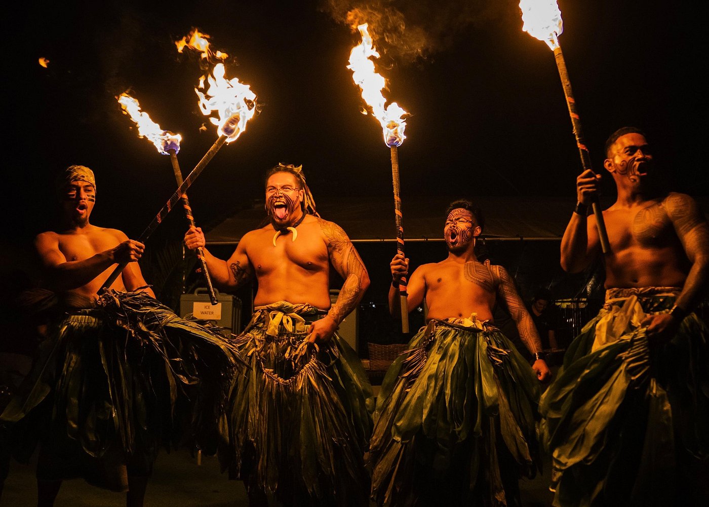 Hawaii Island Tours 14 Best Time to Take Tours in Hawaii Island
