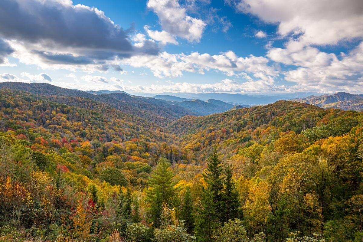 Newfound Gap