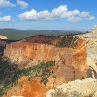 Bristlecone Loop