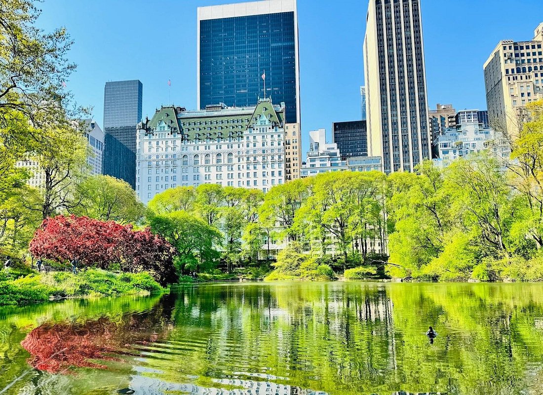 Mejores Tours en New York caption