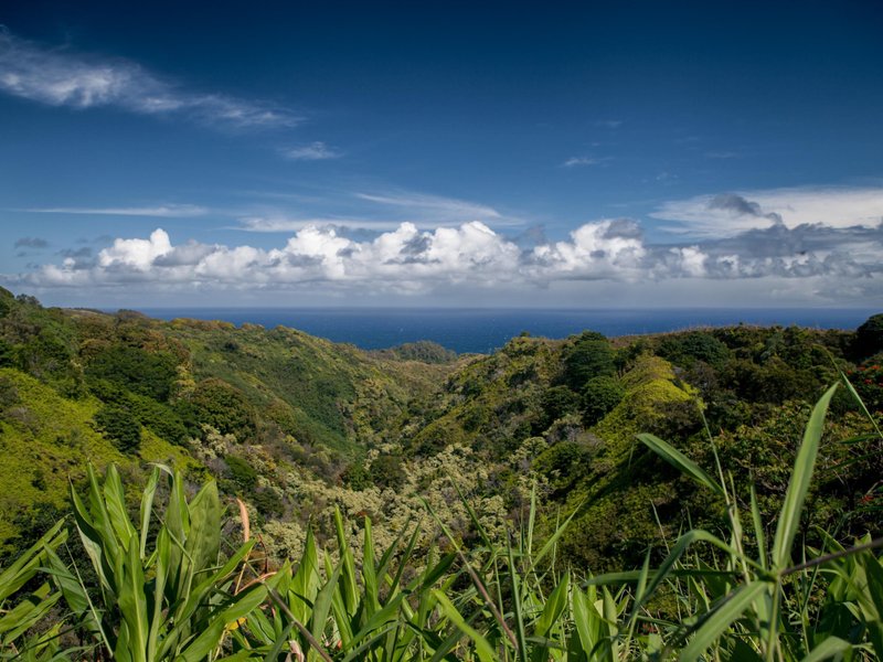 Vistas al océano y la selva en el camino a Hana