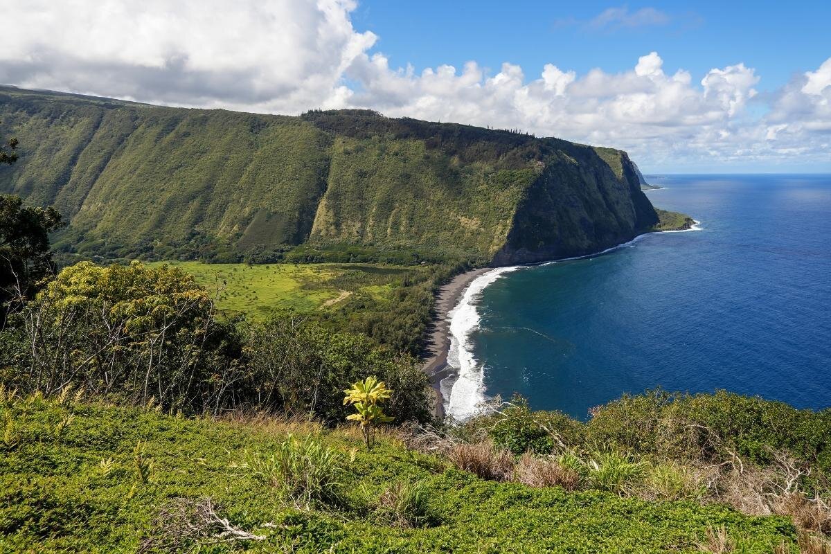 Kohala Coast