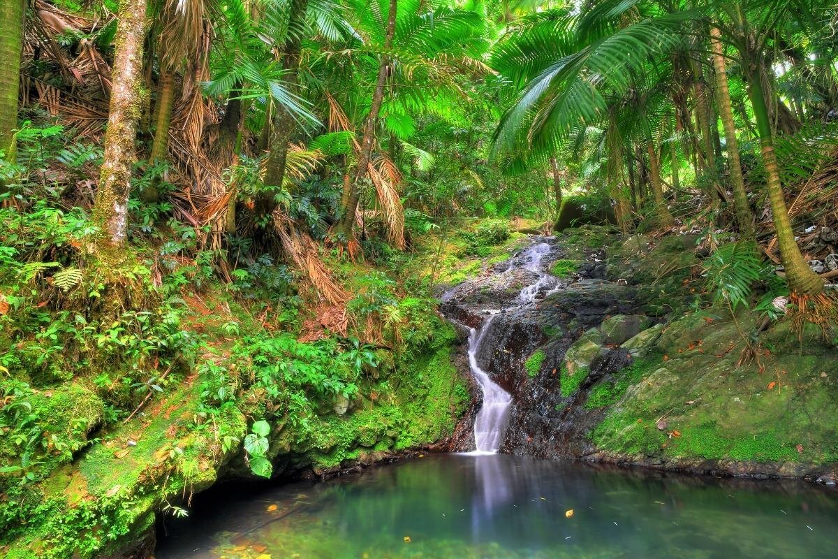 El Yunque National Park