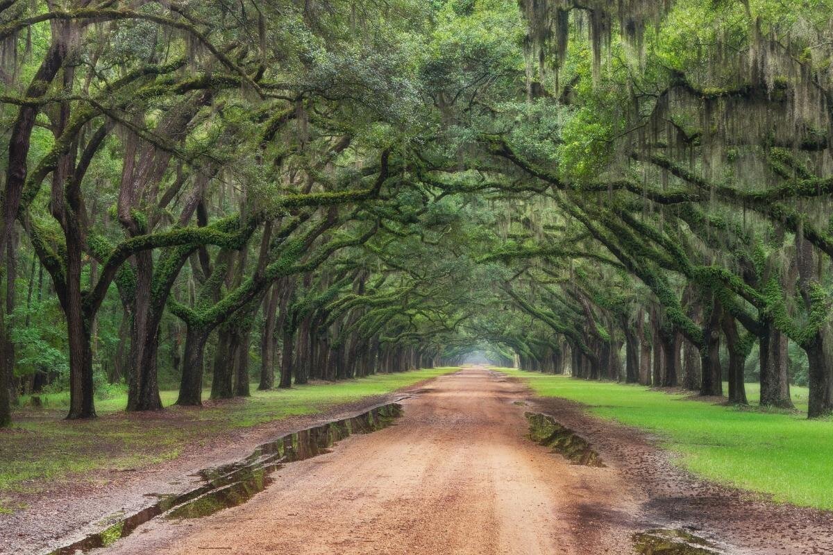 Wormsloe State Historic Site