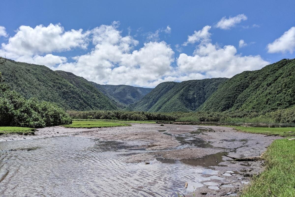 Kohala