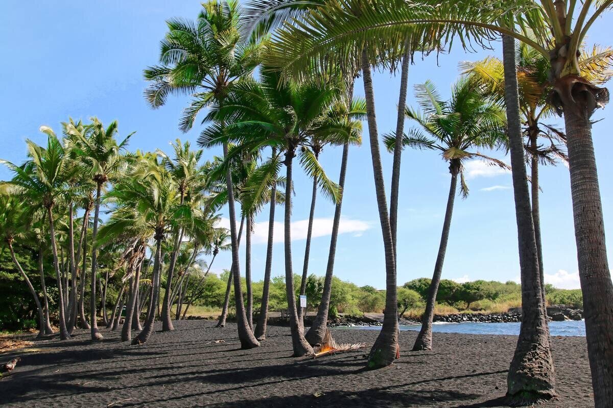 Punaluʻu Black Sand Beach