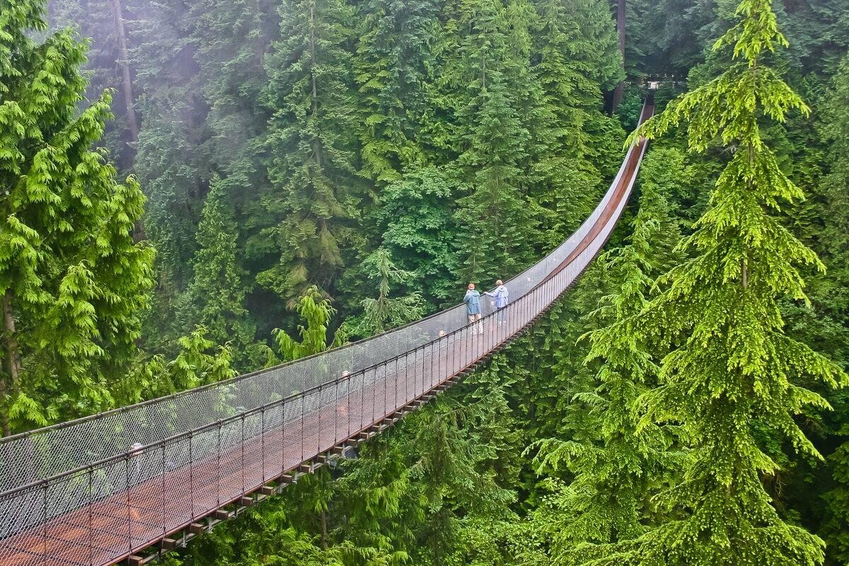 Capilano Suspension Bridge Park