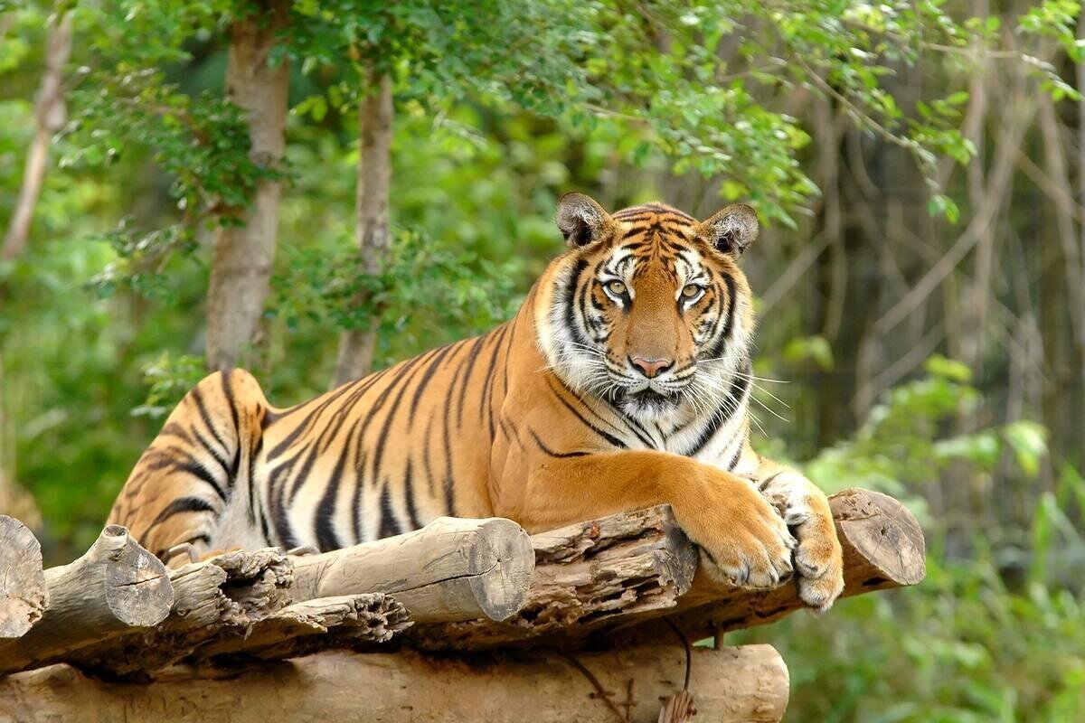 National Zoo