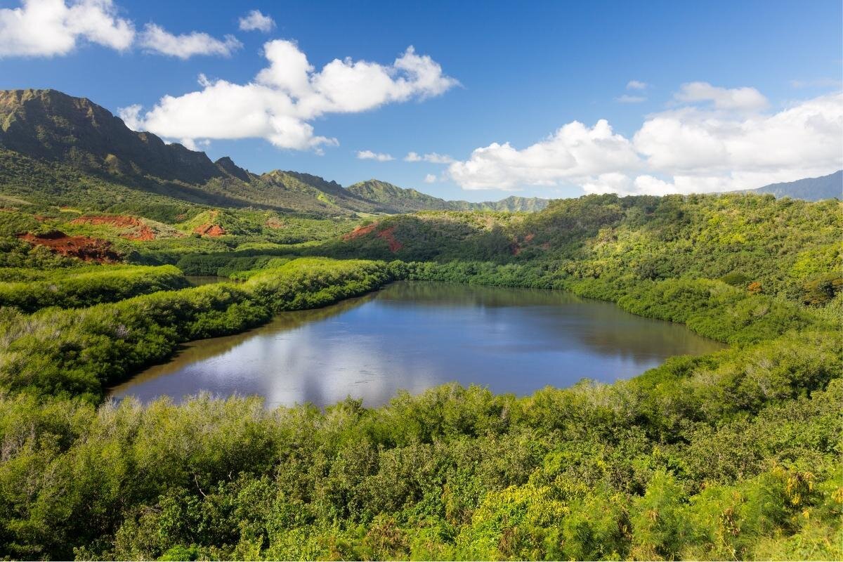 Menehune Fish Pond