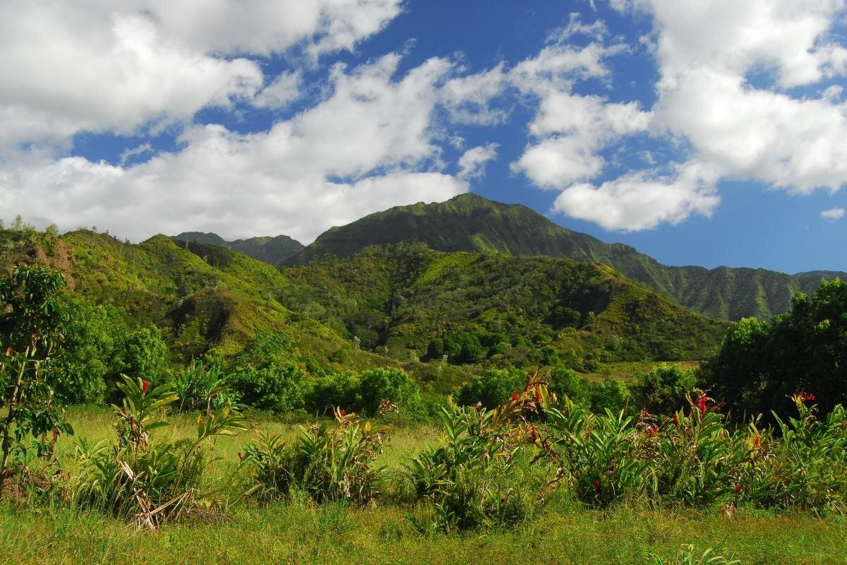 Mt. Waialeale