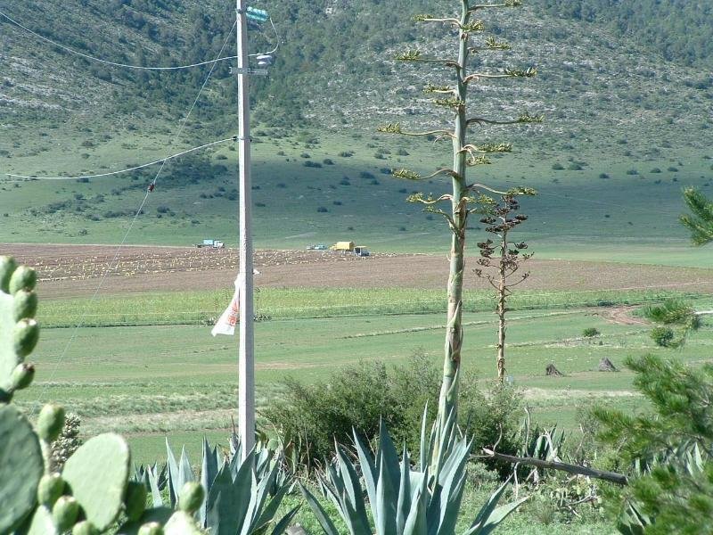 View into the valley