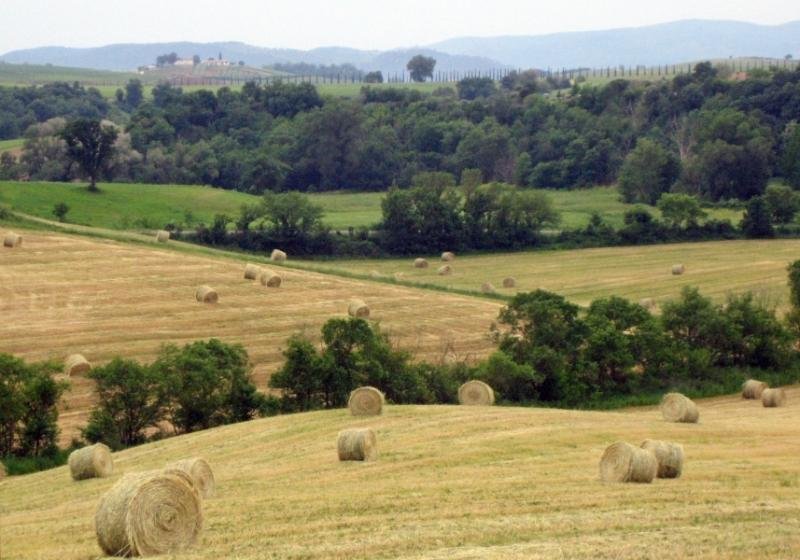 LOCALITA&#039; AQUILAIA