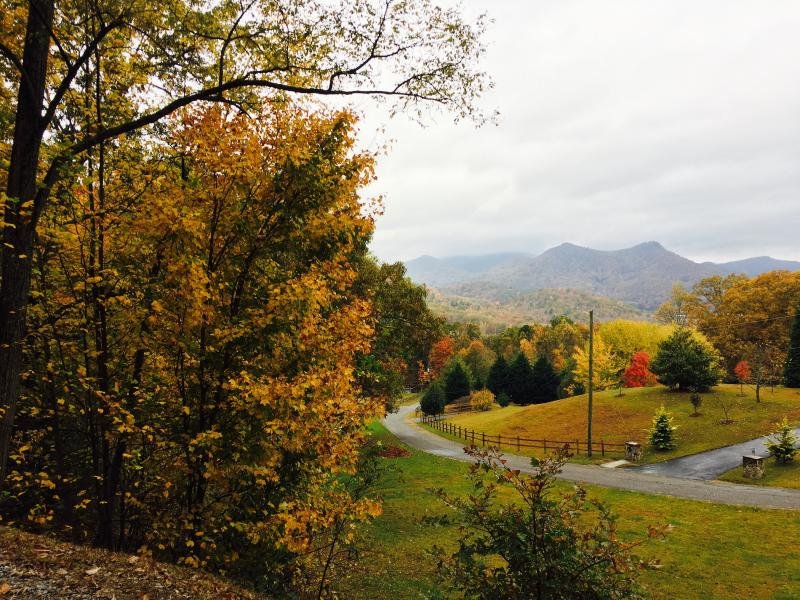 3100 ft up... Fall is amazing in the NEGA mountains!