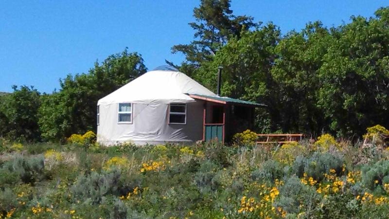 Beautiful Spring day at Caribou Yurt!