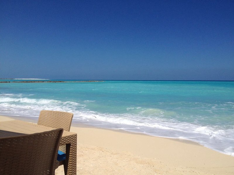 Sun, Sand, and Serenity: A Guide to Sidi Abdel Rahman Beach - Dining and Cuisine