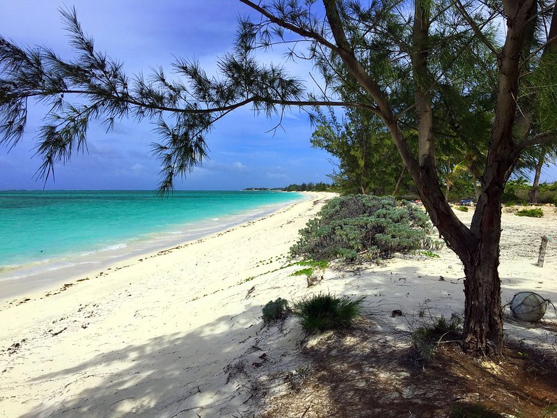 Whitby Beach, North Caicos