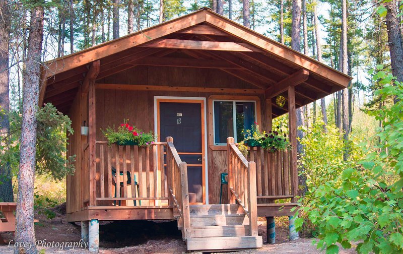 Little cabin in the woods