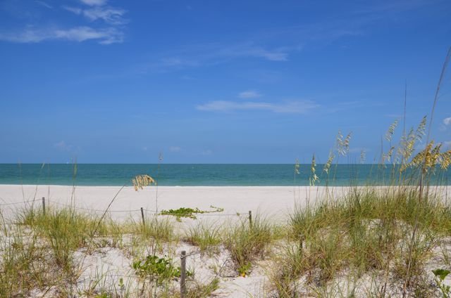 Beach View