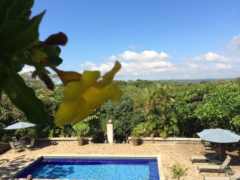 View of the 20 hectares property grounds