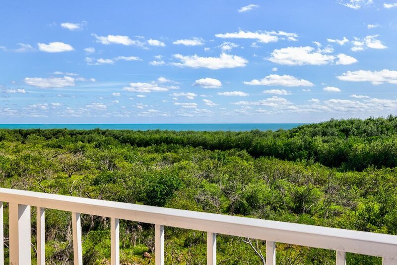 Yes - you are in Paradise! Mangrove Conservation Area & Ocean