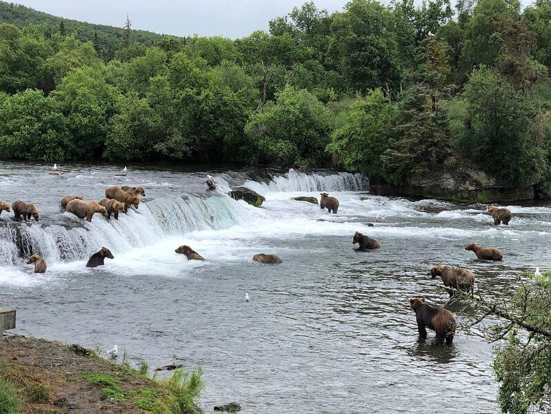 King Salmon, Alaska: The gateway to Katmai National Park and Preserve.