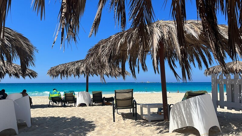 The beach 