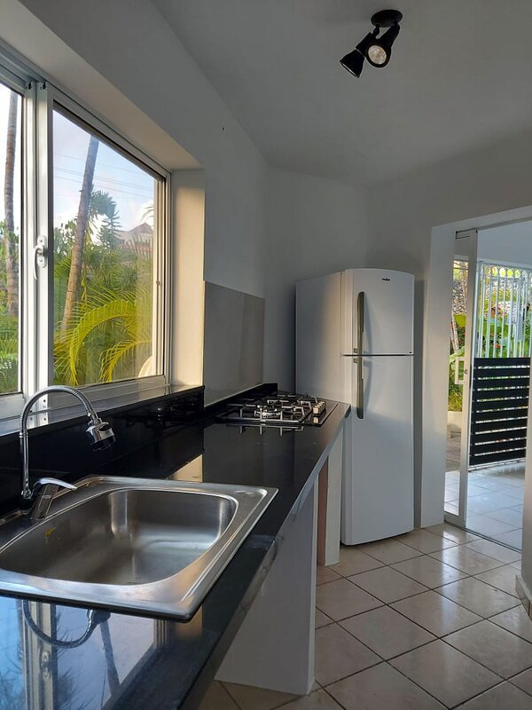 Kitchen counter, sink, burners plate, refrigerator