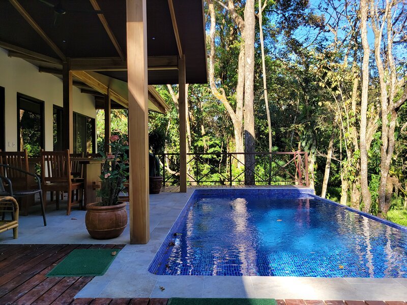 Casa de la Reina's beautiful infinity pool looks out onto a serene jungle setting.
