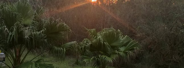 Watching the sunrise on the balcony